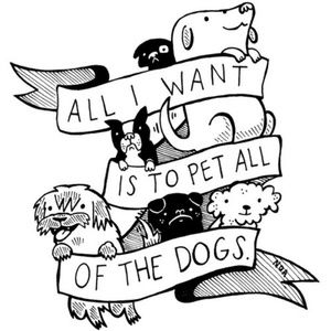 Meet your Posher, Casey